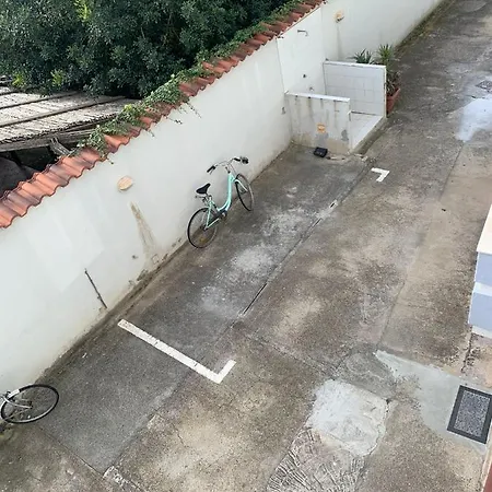 Apartament Coral Dream *