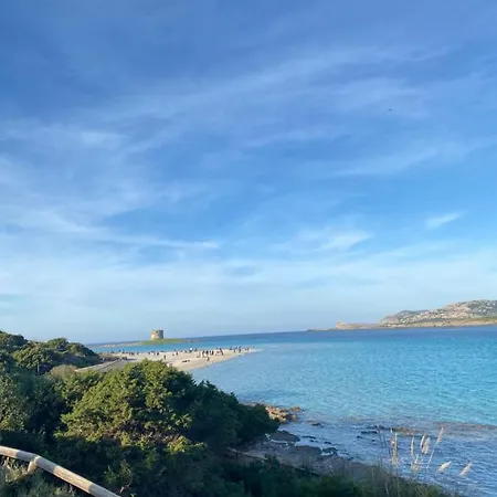 Coral Dream Apartament